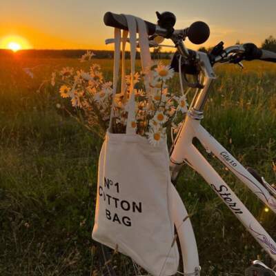 دانلود آهنگ  تو که از عاشقی خیری ندیدی